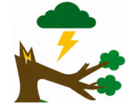 Storm Damage