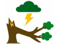 Storm Damage