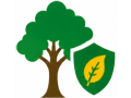 Tree Health