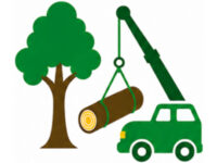 Tree Removal