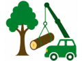 Tree Removal