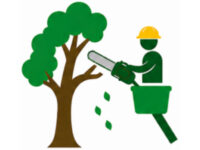 Tree Trimming