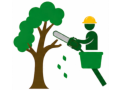 Tree Trimming